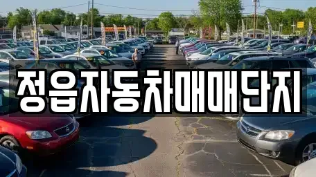 전북특별자치도 정읍시 공평동 중고차매매 전문 정읍자동차매매단지