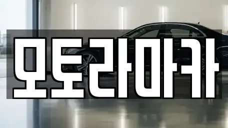 제주특별자치도 제주시 삼도일동 중고차 전문 모토라마카