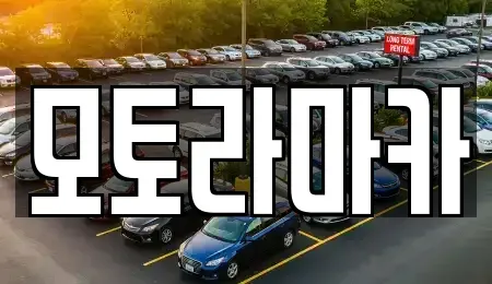 제주특별자치도 제주시 용담일동 중고차매매 전문 모토라마카