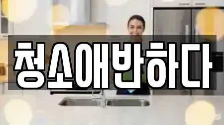 청소애반하다