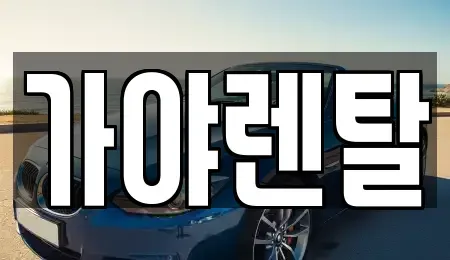 충남 논산시 연무읍 렌트카 전문 가야렌탈