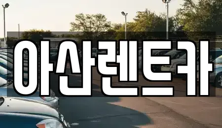 충남 천안시 동남구 수신면 렌트카 전문 아산렌트카