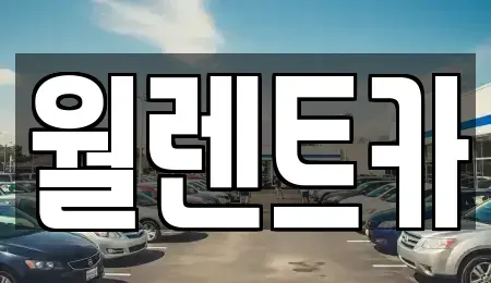 충남 천안시 동남구 수신면 렌트카 전문 월렌트카