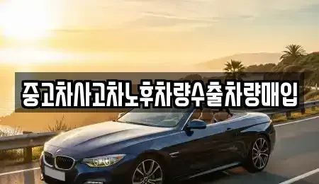 충남 홍성군 장곡면 중고차매입 전문 중고차사고차노후차량수출차량매입