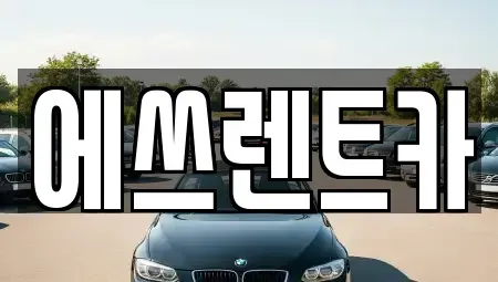 충북 청주시 흥덕구 운천동 렌트카 전문 에쓰렌트카