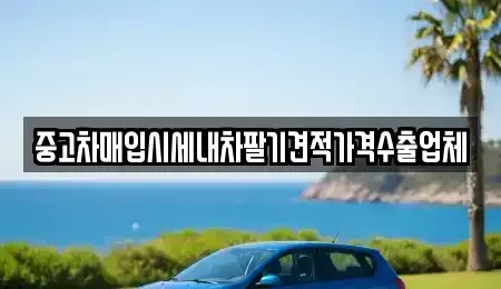충청남도 공주시 반죽동 중고차매입 전문 중고차매입시세내차팔기견적가격수출업체