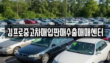 충청남도 공주시 산성동 중고차 전문 김프로중고차매입판매수출매매센터