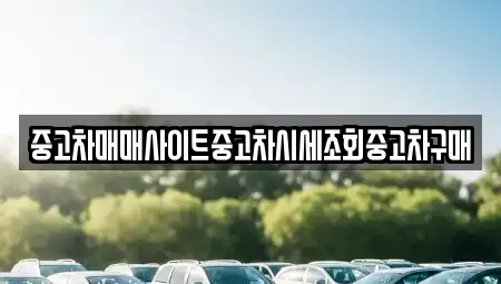 충청남도 당진시 우두동 중고차 전문 중고차매매사이트중고차시세조회중고차구매