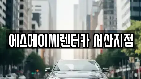 충청남도 서산시 오남동 장기렌트카 전문 에스에이씨렌터카 서산지점