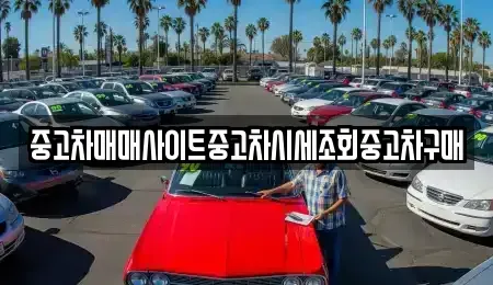 충청남도 서산시 오남동 중고차매매,단기렌트카,중고차매입,장기렌트카,중고차,렌트카