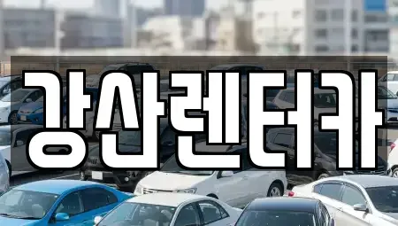 충청남도 천안시 서북구 두정동 단기렌트카 전문 강산렌터카