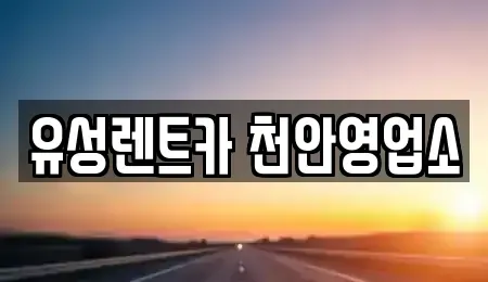 충청남도 천안시 서북구 두정동 렌트카 전문 유성렌트카 천안영업소