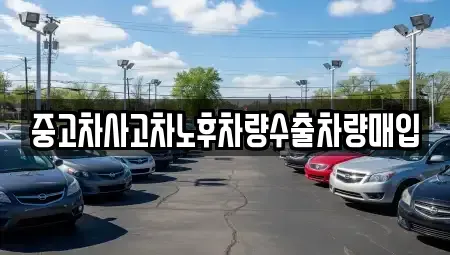 충청북도 청주시 상당구 방서동 중고차 전문 중고차사고차노후차량수출차량매입