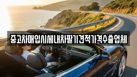 충청북도 청주시 상당구 방서동 중고차매입 전문 중고차매입시세내차팔기견적가격수출업체