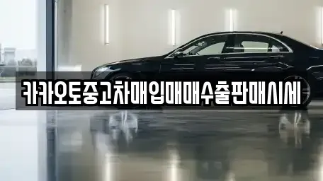 충청북도 청주시 상당구 서운동 중고차매매 전문 카카오토중고차매입매매수출판매시세