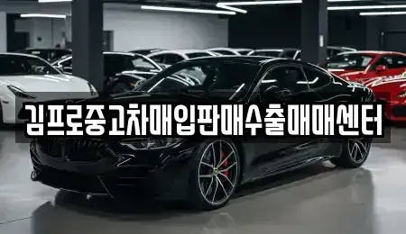 충청북도 청주시 상당구 서운동 중고차매입 전문 김프로중고차매입판매수출매매센터