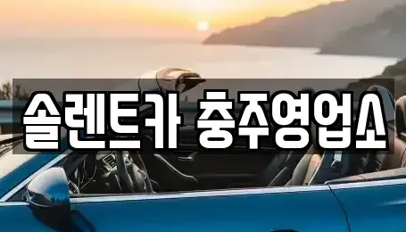 충청북도 충주시 목행동 렌트카 전문 솔렌트카 충주영업소