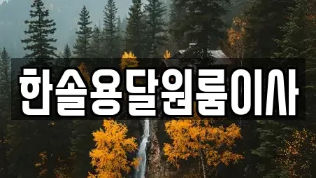 한솔용달원룸이사